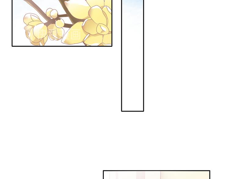 第188话 凤梨？菠萝？5