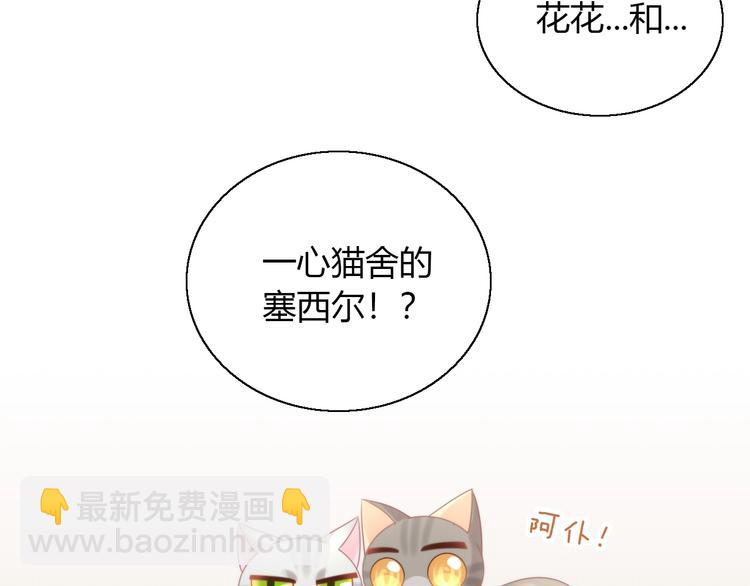 第126话 猫舍C位（二）55
