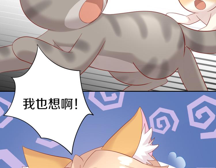 第144话 空陆大战43
