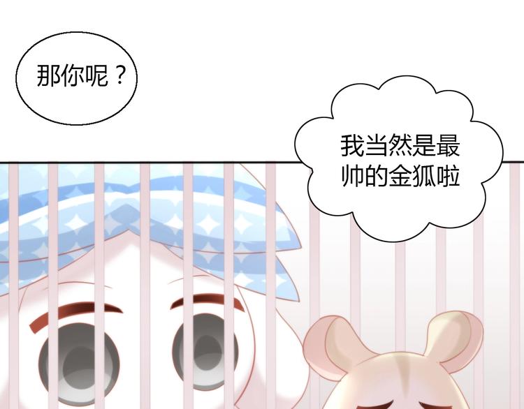 第108话 仓鼠也有梦想！53