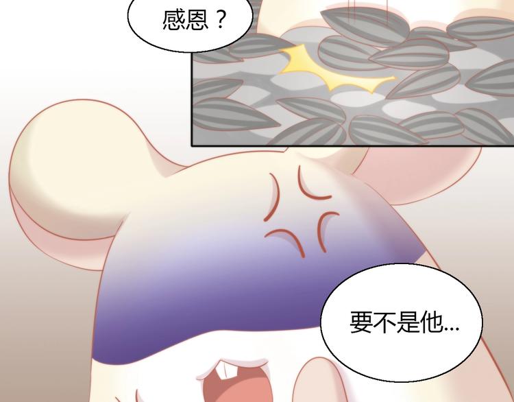 第108话 仓鼠也有梦想！47