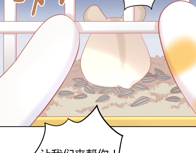 第108话 仓鼠也有梦想！87