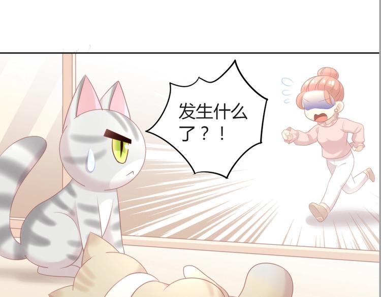 第125话 猫舍C位（一）41