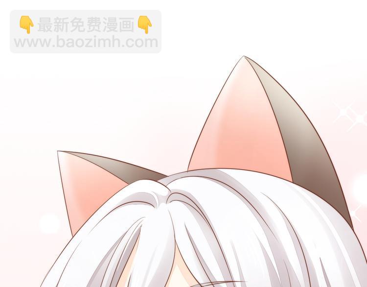 第76话 猫咪选美大赛22