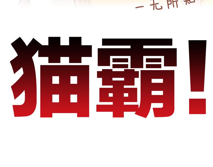 第51话 人猫大互换？84