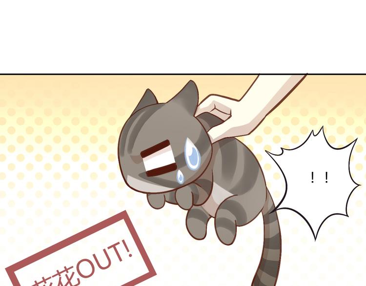 第1话  猫主子驾到！53