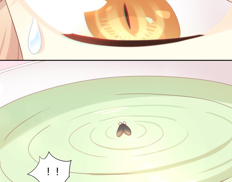 第166话 猫咪花园24