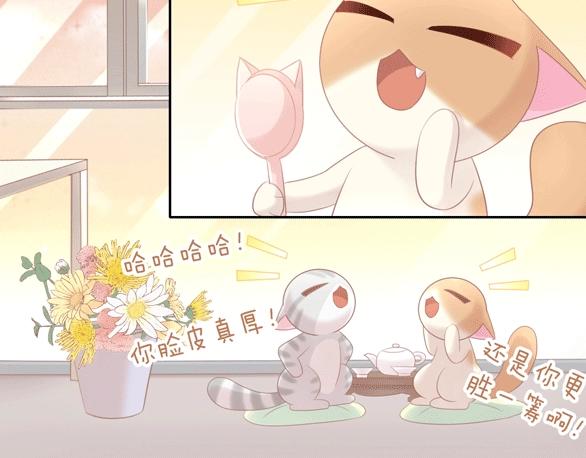 第128话 猫舍C位（四）95