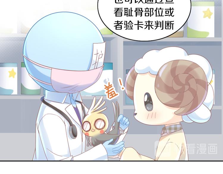 第170话 皮卡和小智36