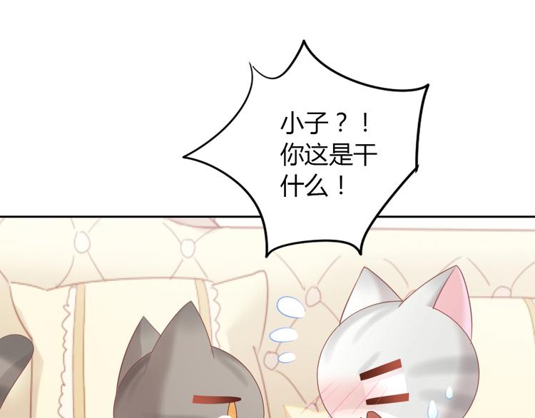 第127话 猫舍C位（三）79
