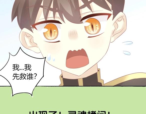 第127话 猫舍C位（三）101