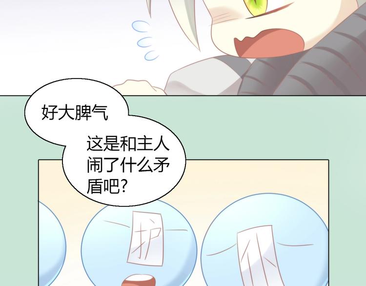 第126话 猫舍C位（二）74