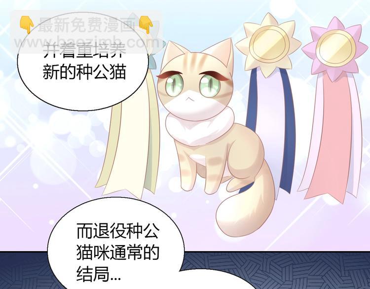 第130话 猫舍C位（六）31