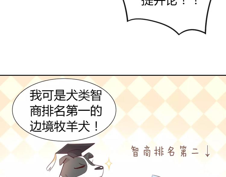 第37话 清醒点！12