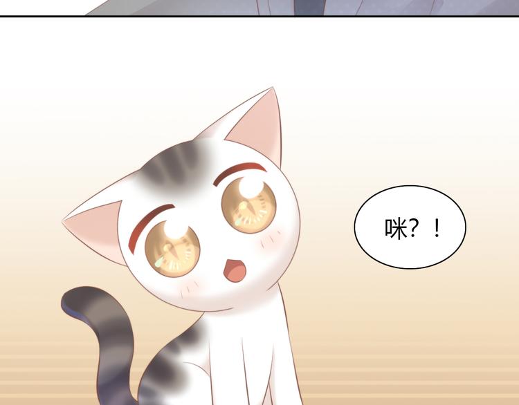 第85话 新伙伴？！20