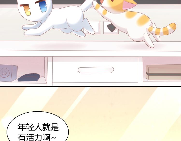 第129话 猫舍C位（五）49