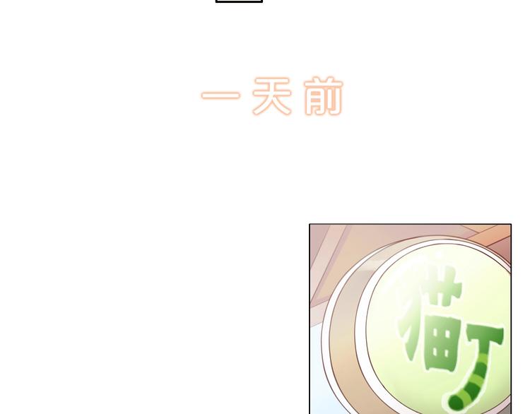 第133话 撸猫技师（一）44