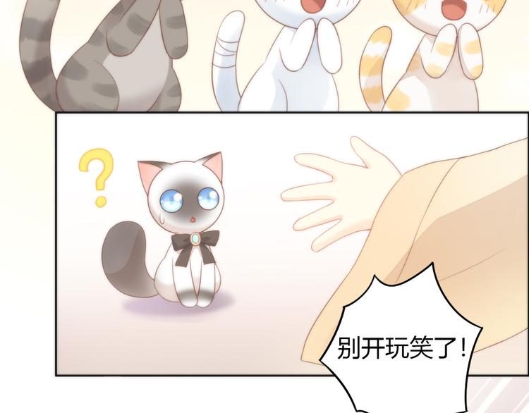 第76话 猫咪选美大赛42