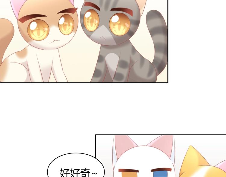 第121话 猫爪学园（四）100