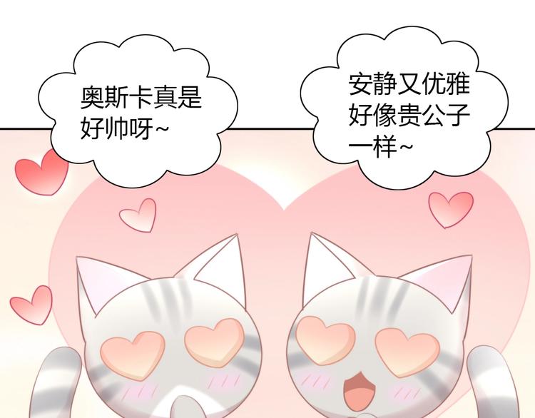 第125话 猫舍C位（一）15