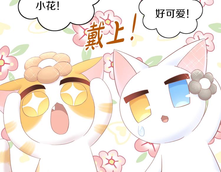 第195话  宠物毛毡79