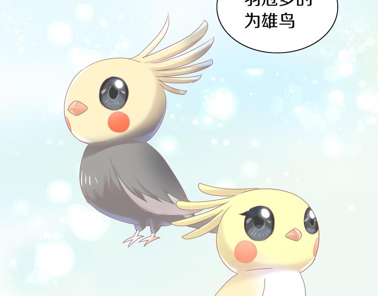 第170话 皮卡和小智34