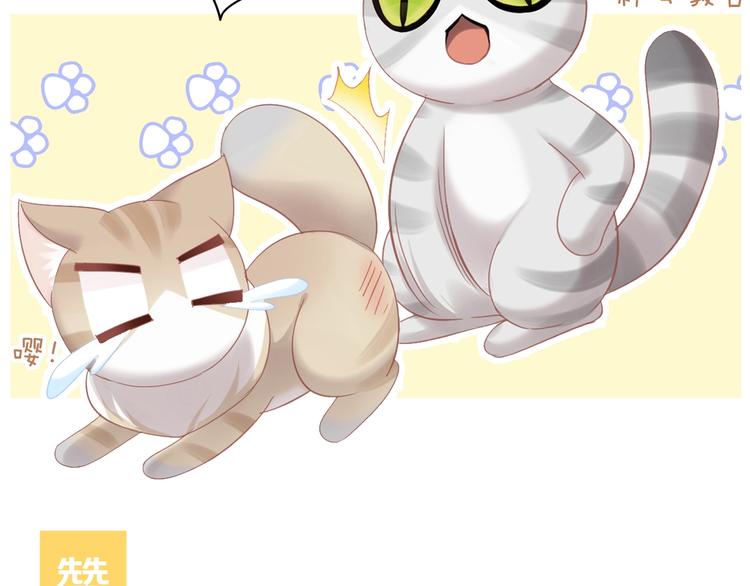 第130话 猫舍C位（六）101