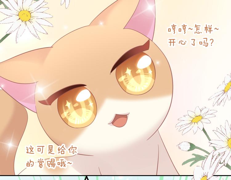第136话 撸猫技师（四）55