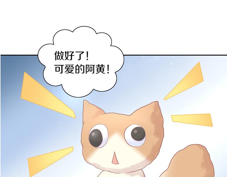 第195话  宠物毛毡53