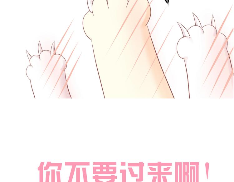 第194话 选主人94