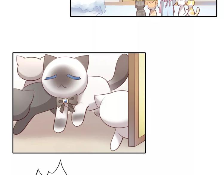 第34话 猫执事（上）23