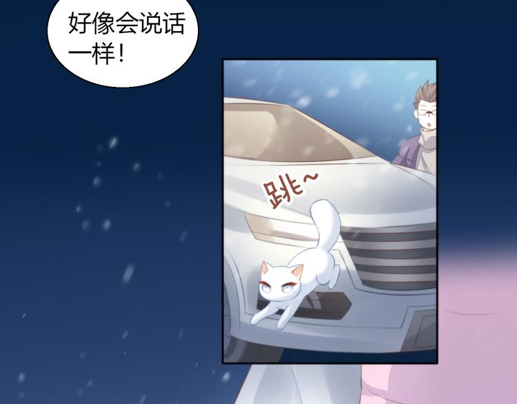 第71话 属于你的幸福9