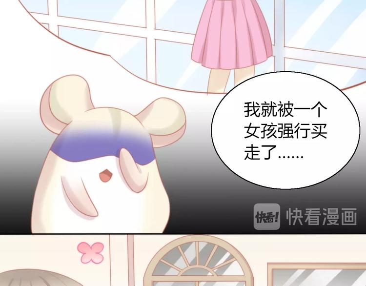 第108话 仓鼠也有梦想！61