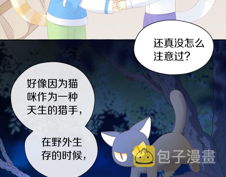 第200话 猫爪之下22