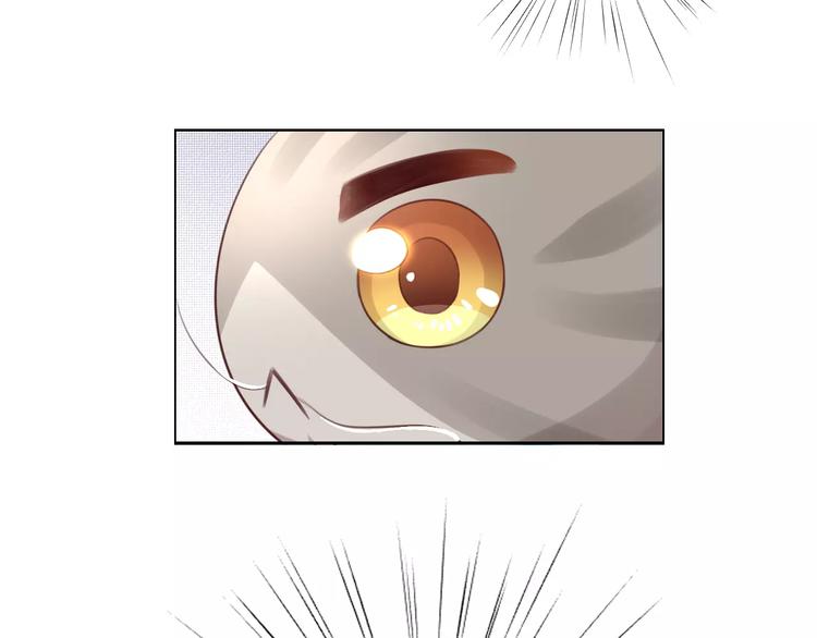 第37话 清醒点！68