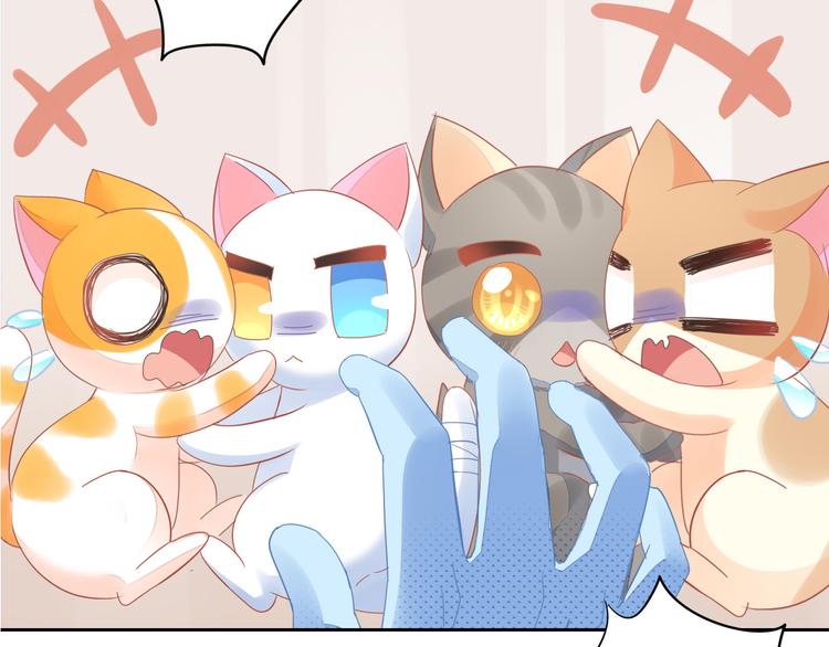 第167话 疯狂的蛋糕55