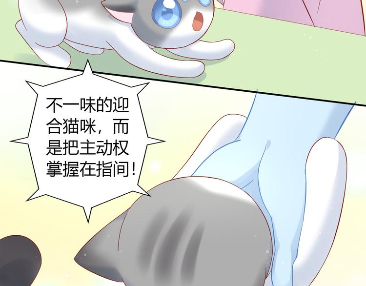 第134话  撸猫技师（二）64