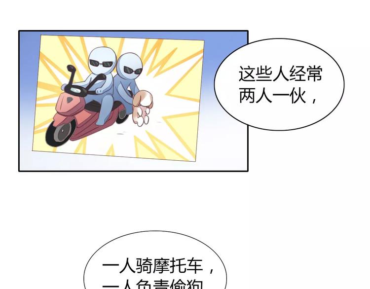 第14话  萌宠失踪59