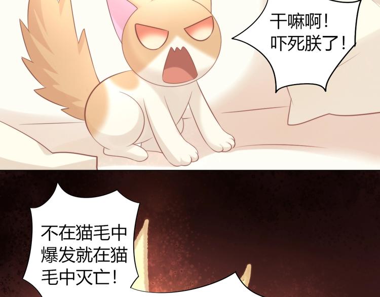 第93话 撸猫快乐成仙！24