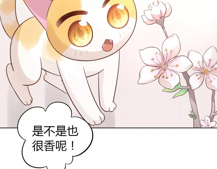第38话 樱花果冻19