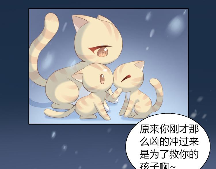 第71话 属于你的幸福19