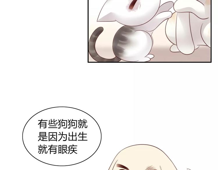第41话 小可怜竟然是？17