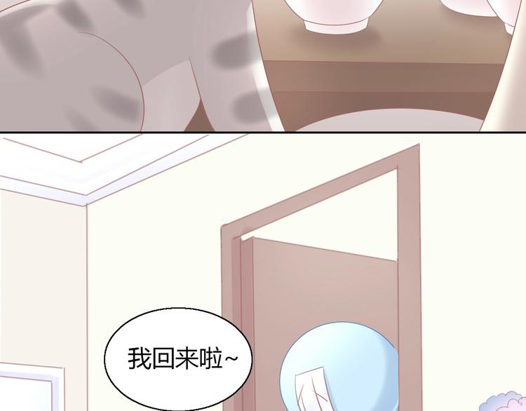 第129话 猫舍C位（五）80