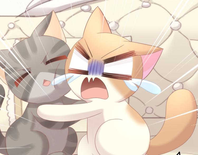 第166话 猫咪花园54