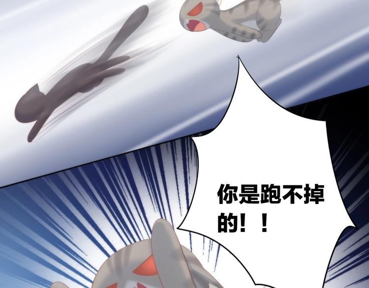第96话 神秘小偷现身66