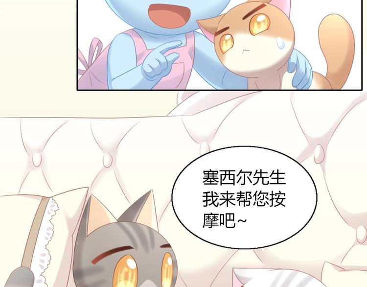 第127话 猫舍C位（三）33