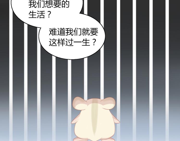 第108话 仓鼠也有梦想！73