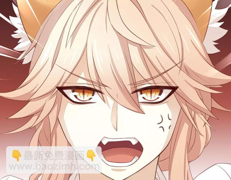 第14话  萌宠失踪38