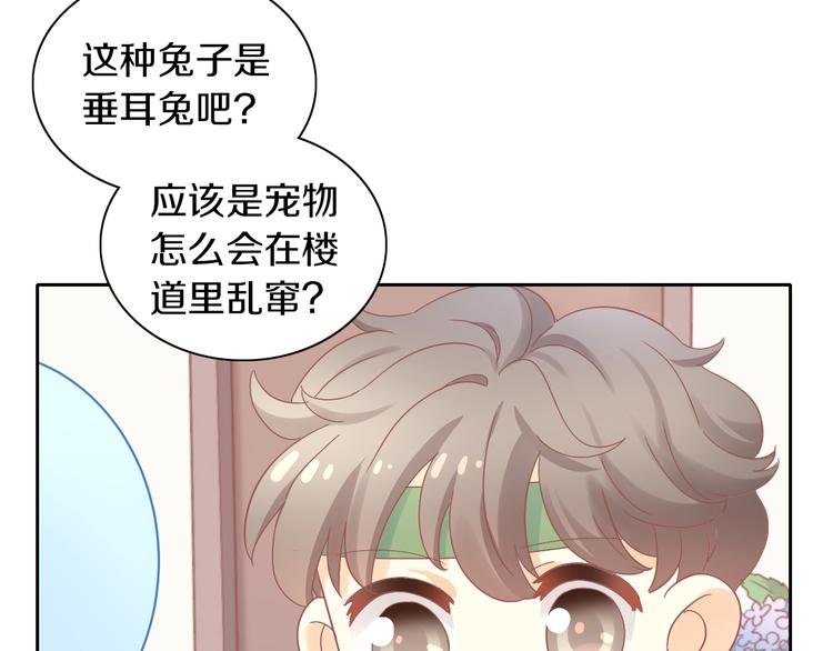 第189话 杂物堆里的它49
