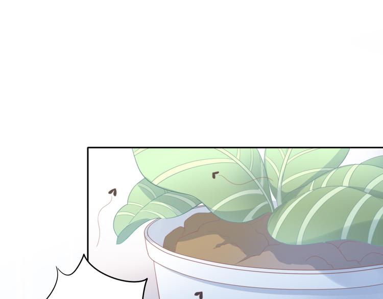 第166话 猫咪花园50
